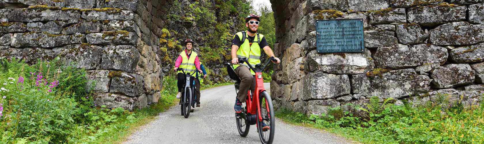 Test af de bedste elcykler – Find den helt rette