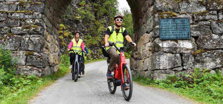 Test af de bedste elcykler – Find den helt rette