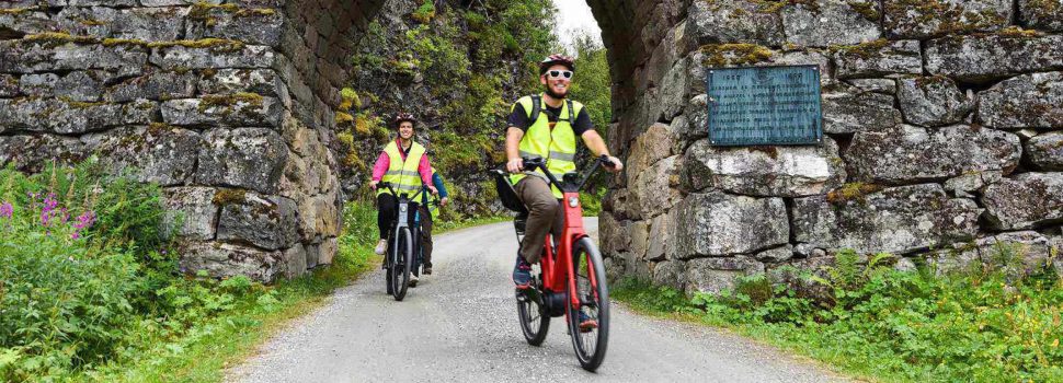 Test af de bedste elcykler – Find den helt rette